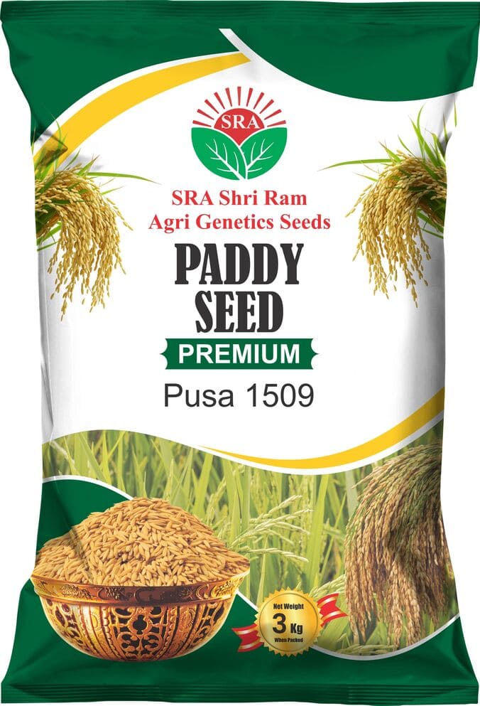Pusa 1509
