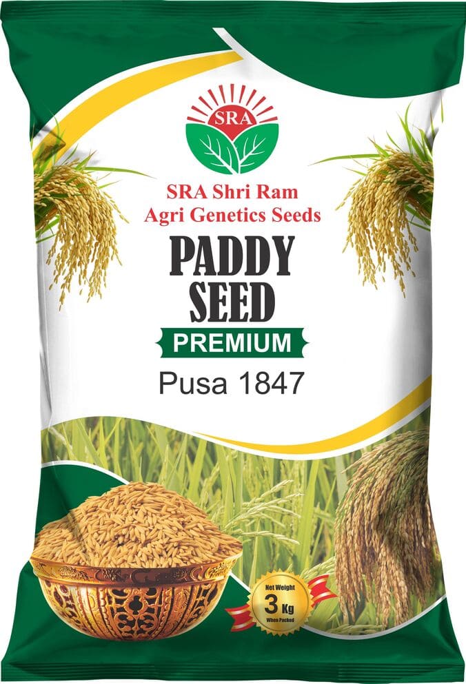Pusa 1847