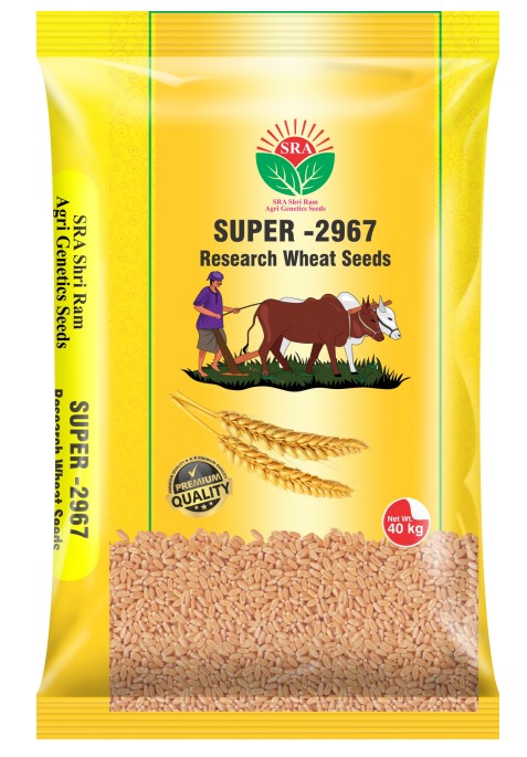 Super 2967